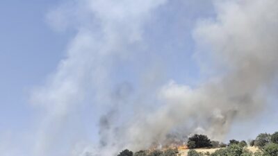 Çermik ilçesindeki yangın, itfaiye ekiplerinin ve vatandaşların çabaları sonucu kontrol