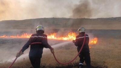 Cezayir’deki Sivil Savunma Kurumu, son 24 saat içinde ülkenin 6
