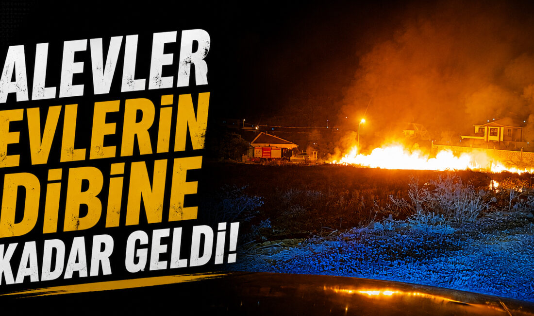 Kırşehir’in Çiçekdağı ilçesi Fevzi Çakmak Mahallesi’nde akşam saatlerinde otluk alanda