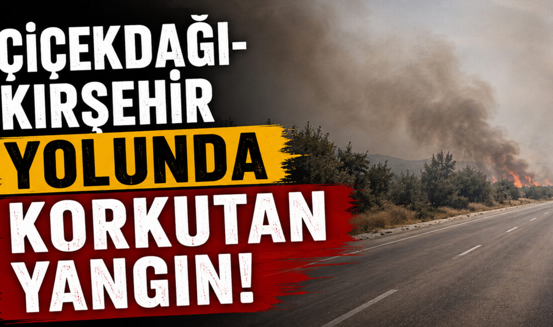 Çiçekdağı-Kırşehir karayolu üzerinde bulunan mandıralar bölgesinde henüz belirlenemeyen bir nedenle