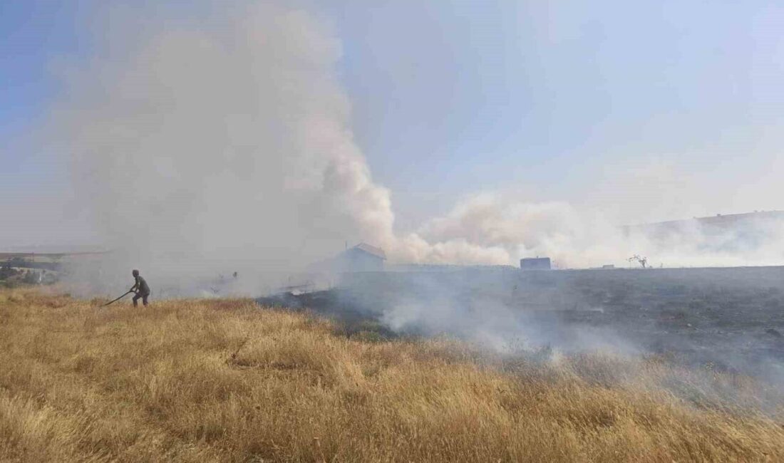 Eskişehir’de Karadere Mahallesi’nde meydana gelen bir yangın, Orman Bölge Müdürlüğü
