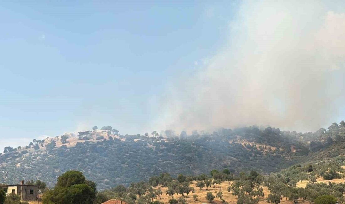 Çine ilçesinde meydana gelen orman yangınına müdahale devam ediyor. Yangın,