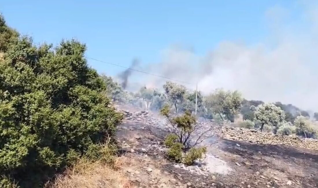 Aydın’ın Çine ilçesinde tarım arazisinde çıkan yangına ekiplerin hava ve