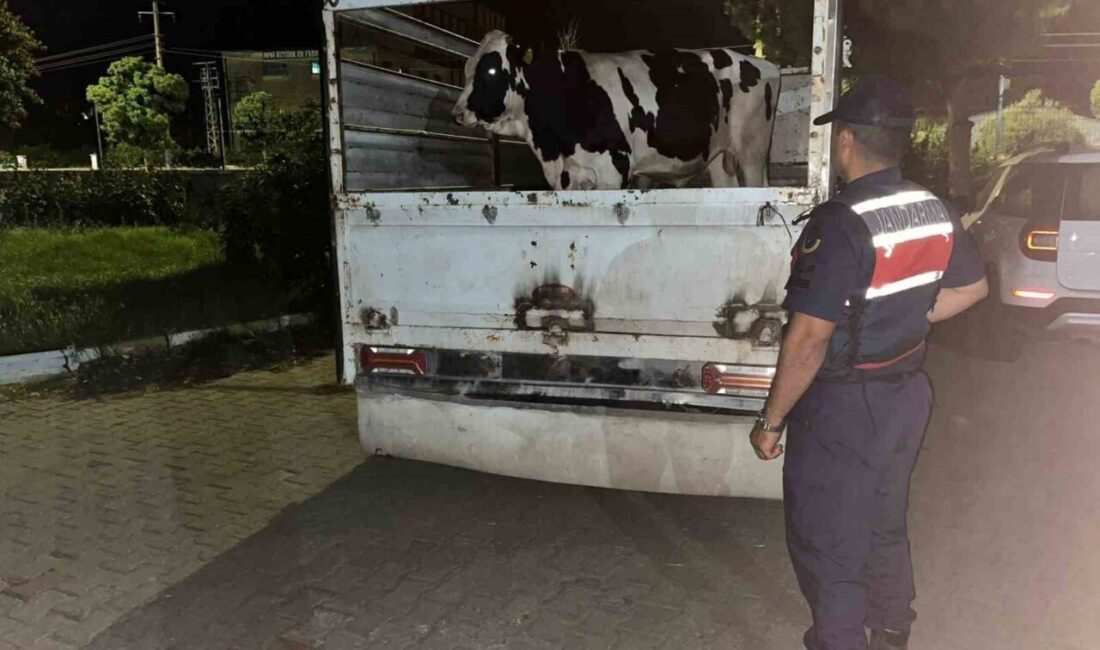 Çine ilçesinde, bir kişi 365 bin TL karşılığında sattığı 3