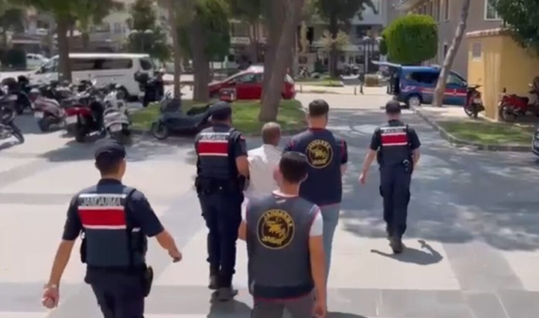 Çine ilçesinde 3 gün süren orman yangınıyla ilgili yapılan soruşturma