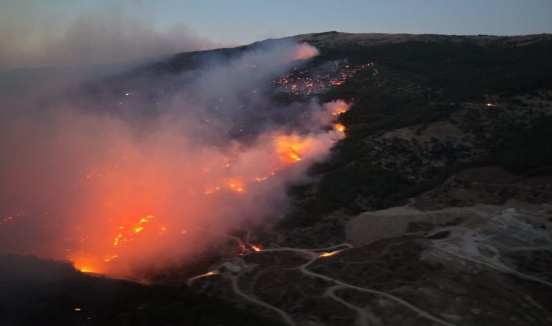 Çine ilçesinde meydana gelen orman yangınında yaralanan ve hastanede tedavi