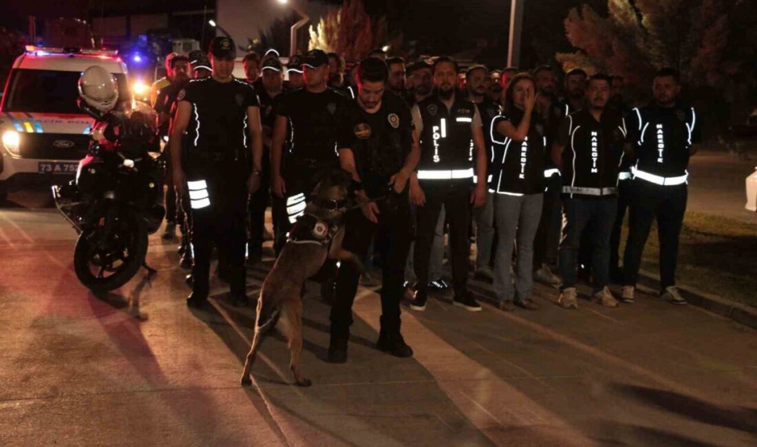 Cizre ilçesinde 400 polisin katılımıyla geniş çaplı bir asayiş, narkotik,