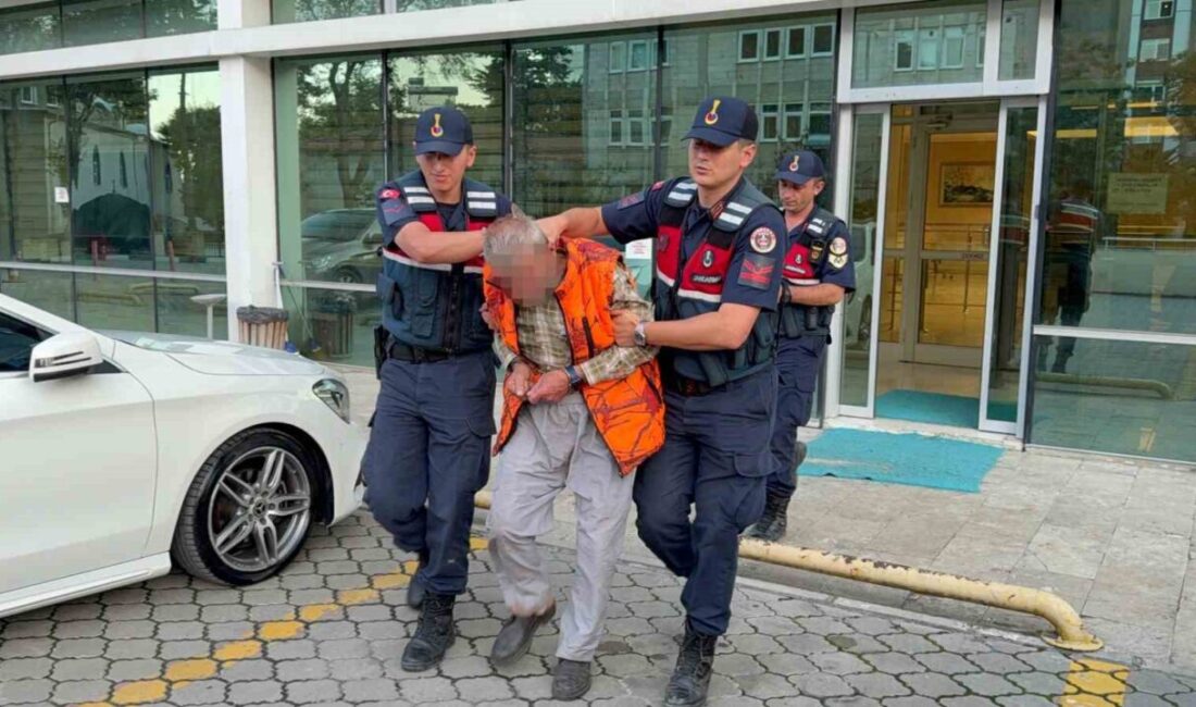Samsun’da iddiaya göre 4 yaşındaki bir kız çocuğuna tacizde bulunduğu