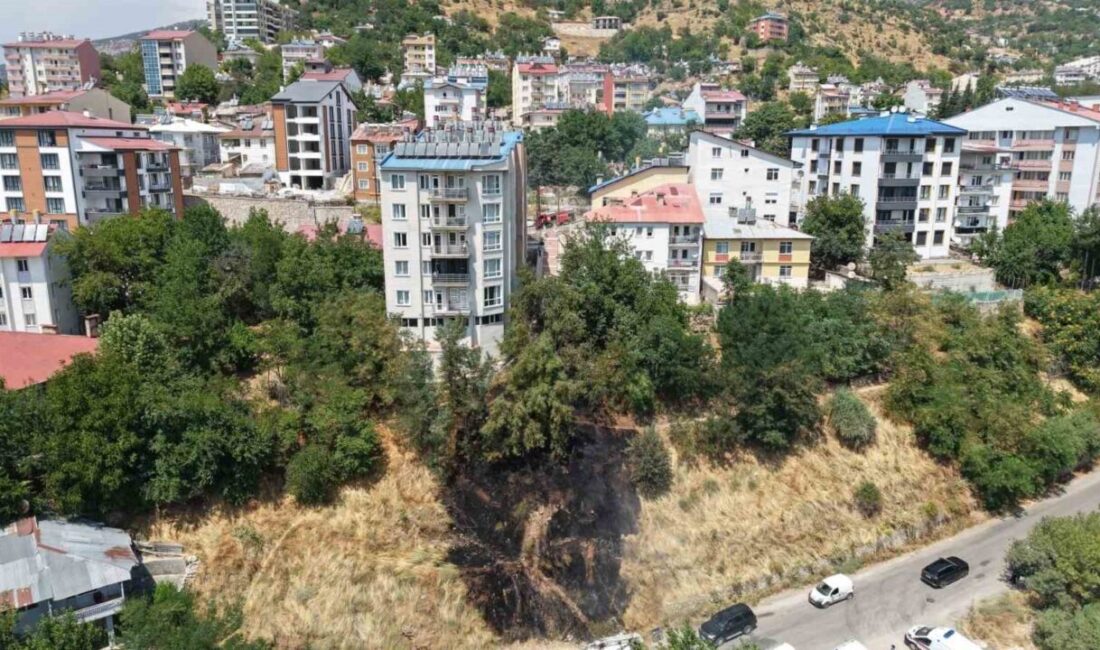 Tunceli’de meydana gelen bir olayda, 3 çocuğun torpil ve ateşle