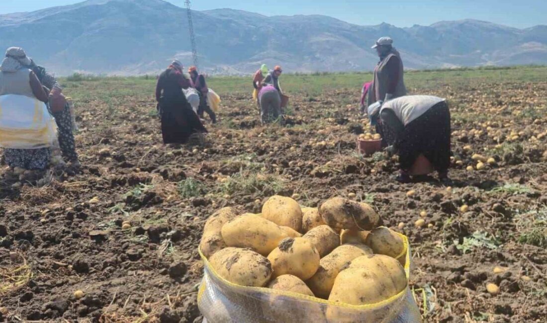 Afyonkarahisar’ın Dinar ilçesinde bulunan Çölovası bölgesinde 2 kasaba ve 14