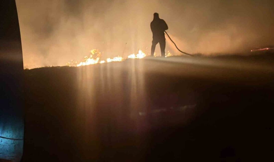 Çorum’un Sungurlu ilçesine bağlı Beyyurdu köyünde tarım arazisinde gece saatlerinde