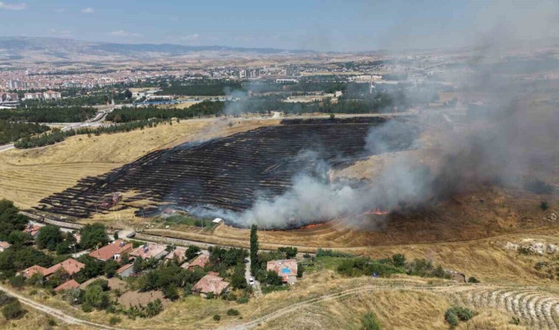 Çorum’da Bahçelievler Mahallesi Kireç Ocakları Yolu Sokak üzerinde bir tarlada