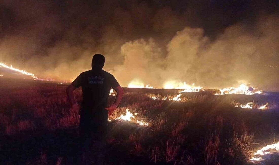 Çorum’un Alaca ilçesinde, 7 köyün sınırlarını paylaşan arazide örtü yangını