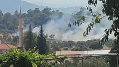 Dalaman ilçesinde meydana gelen orman yangını, hızlı hava ve karadan
