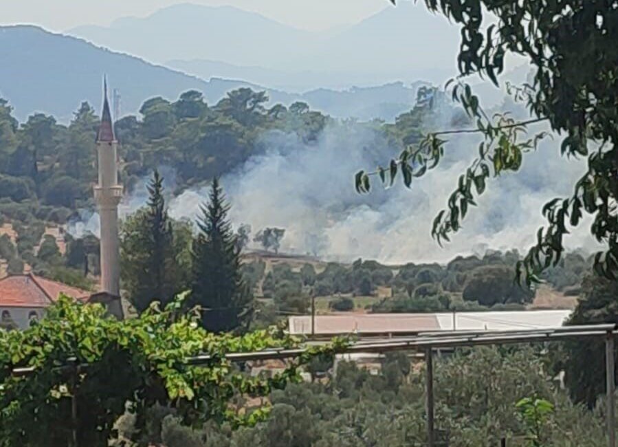 Dalaman ilçesinde meydana gelen orman yangını, hızlı hava ve karadan