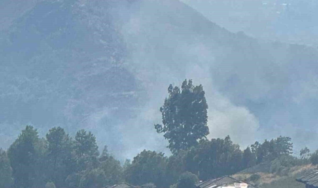 Muğla’nın Dalaman ilçesinde ormanlık alanda çıkan yangın, çevre sakinlerinin fark