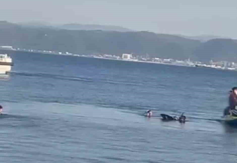 Kocaeli’nin Darıca ilçesinde 28 yaşındaki bir genç, Darıca Millet Bahçesi