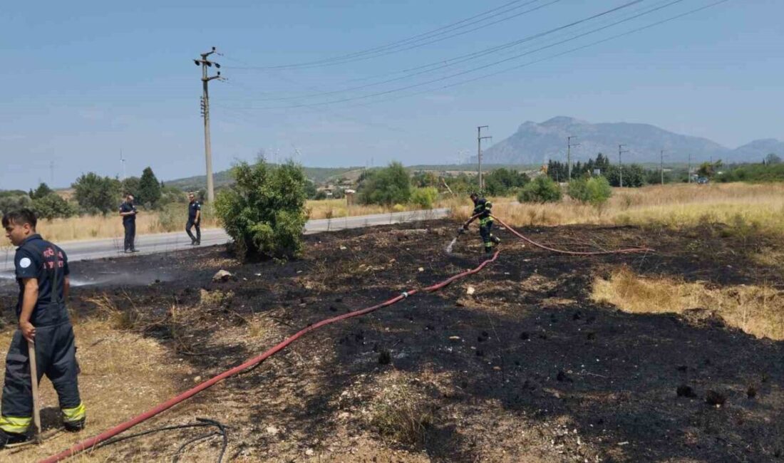 Muğla’nın Datça ilçesinde, yerleşim alanına yakın bir noktada çıkan kuru