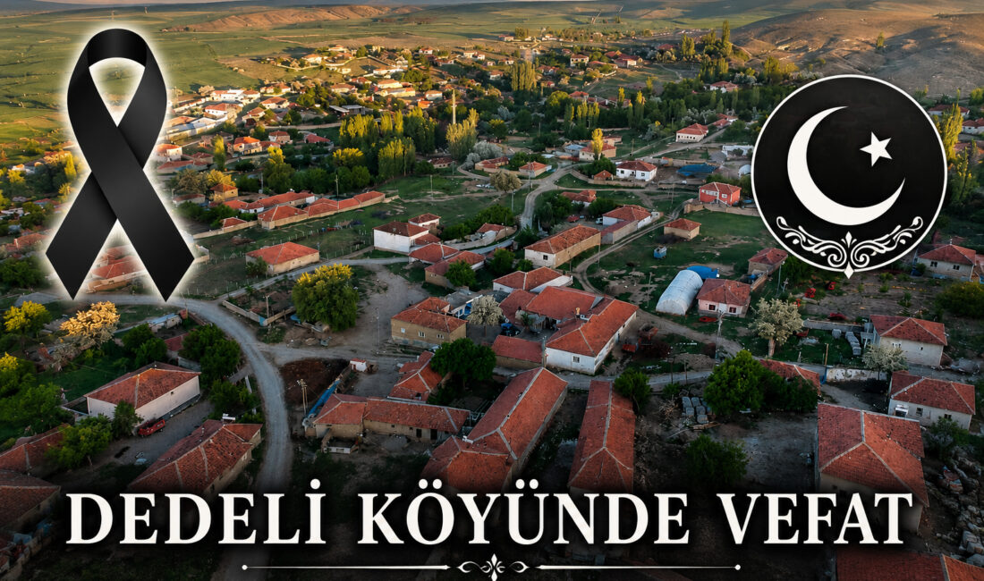 Dedeli köyünden gelme, Haşim Kılıç Mahallesi sakinlerinden, Ayhan ve Köksal