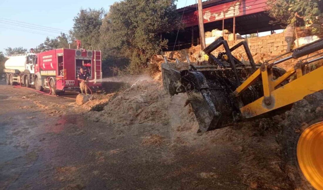 Defne ilçesindeki yangın, itfaiye ekiplerinin zamanında müdahalesi sayesinde hızla kontrol