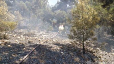 Denizli’nin Bekilli ilçesinde, orman parkı yakınındaki yangın hızlı ve etkili