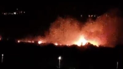 Denizli’nin Sarayköy ilçesinde ovalık bir alanda başlayan yangın, rüzgarın etkisiyle