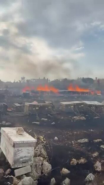 Denizli’nin Tavas ilçesinde meydana gelen yangında, Solmaz Mahallesi’nde bulunan arı