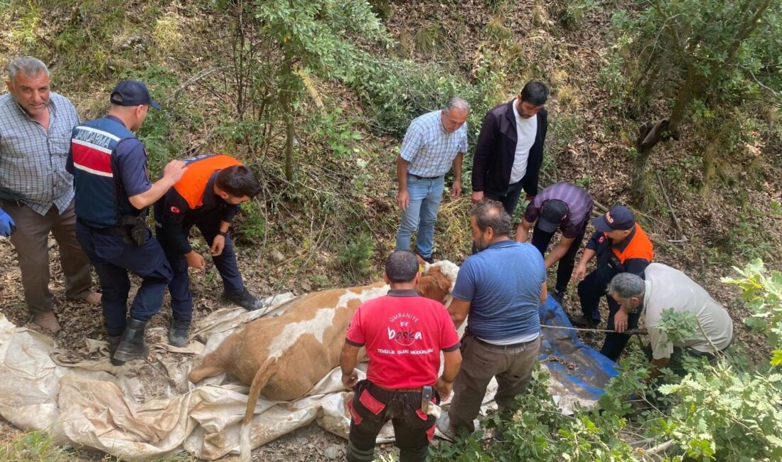 Yozgat İl Jandarma Komutanlığı ekipleri, il genelinde huzur ve güven