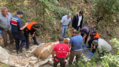 Yozgat İl Jandarma Komutanlığı ekipleri, il genelinde huzur ve güven