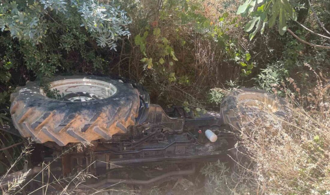 Germencik ilçesinde meydana gelen trafik kazasında, traktörün şarampole devrilmesi sonucu