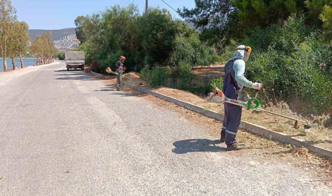 Didim Belediyesi, kentin her tarafında çevre bakım çalışmaları yürüterek parklar,