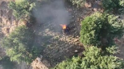 Diyarbakır’da jandarma ekiplerinin gerçekleştirdiği operasyonda; 247 bin 145 kök kenevir