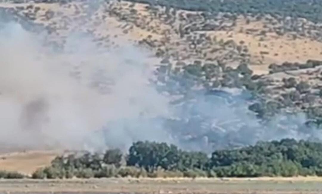 Silvan ilçesinde meydana gelen ağaçlık alandaki yangın, ekiplerin hızlı müdahalesiyle