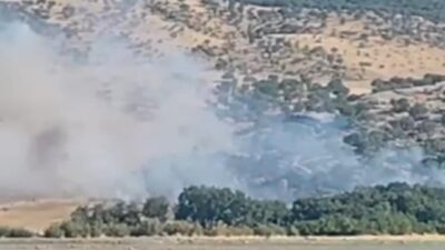 Silvan ilçesinde meydana gelen ağaçlık alandaki yangın, ekiplerin hızlı müdahalesiyle
