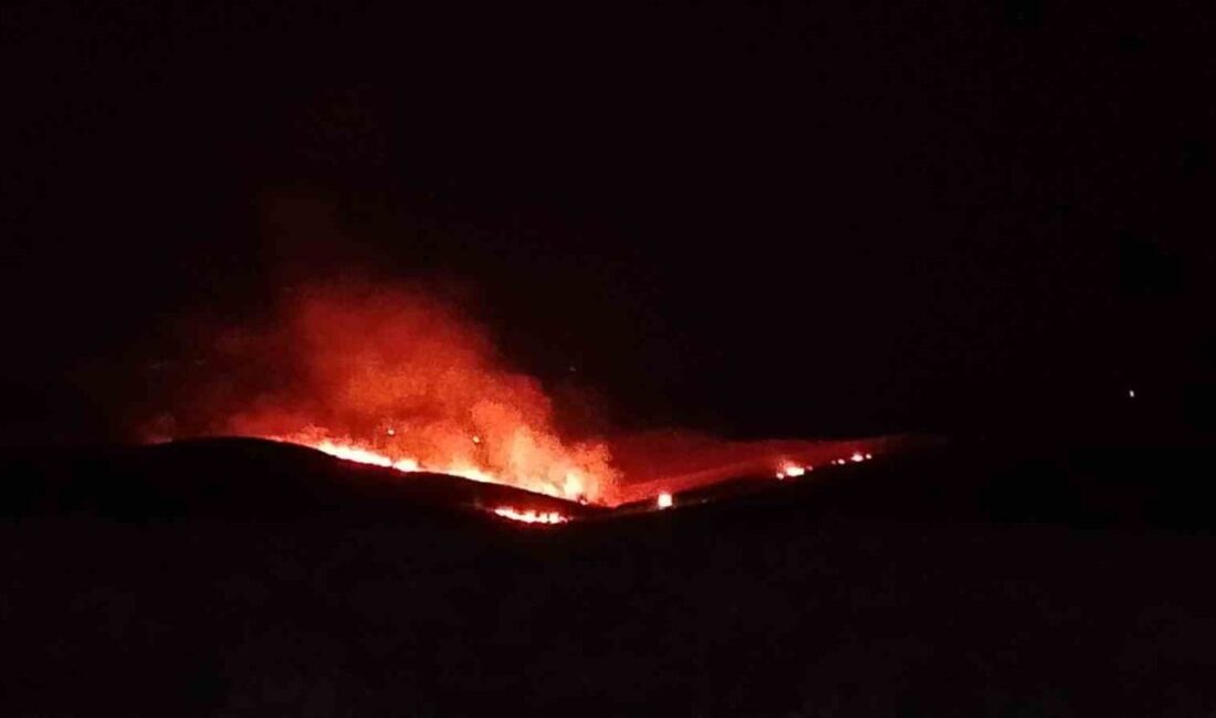 Silvan ilçesinde çıkan anız ve örtü yangınının söndürülmesi için yoğun