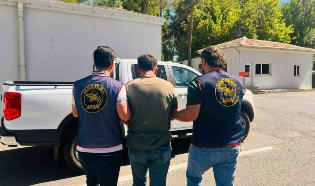 Diyarbakır’da, çeşitli suçlardan arama kaydı bulunan toplam 110 kişi yetkililerce