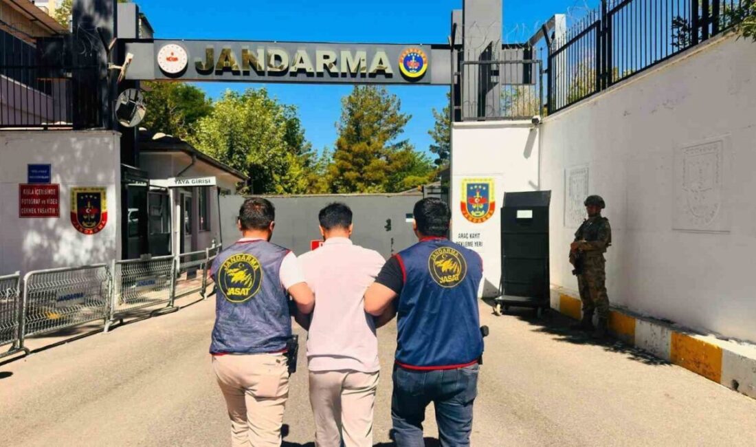 Diyarbakır’da çeşitli suçlardan aranan 113 kişi yakalanarak adli makamlara sevk