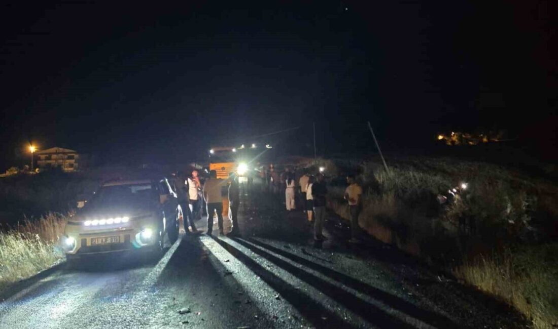 Lice ilçesinde meydana gelen feci kazada araç, sollama yaparken karşı