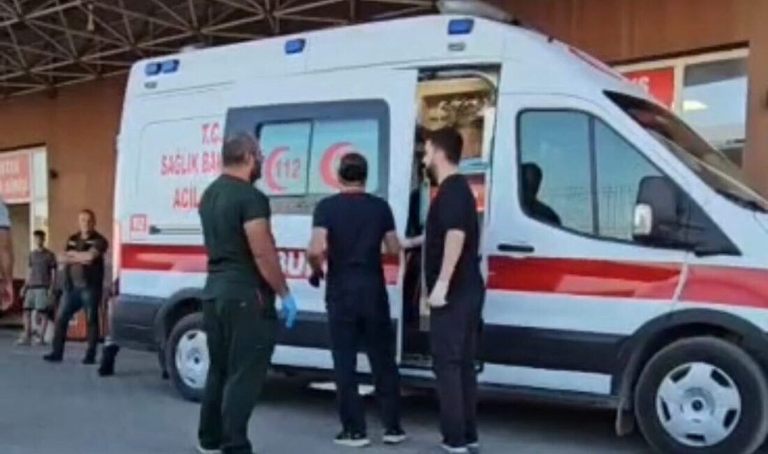 Ergani ilçesinde motosiklet ile kamyonetin çarpışması sonucu meydana gelen trafik