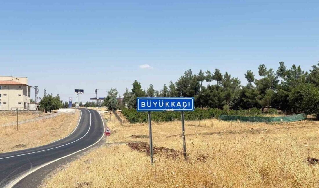 Diyarbakır’ın Sur ilçesinde bir çocuğun sokak kedisi tarafından ısırılması sonucu
