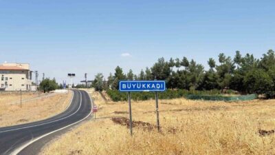 Diyarbakır’ın Sur ilçesinde bir çocuğun sokak kedisi tarafından ısırılması sonucu
