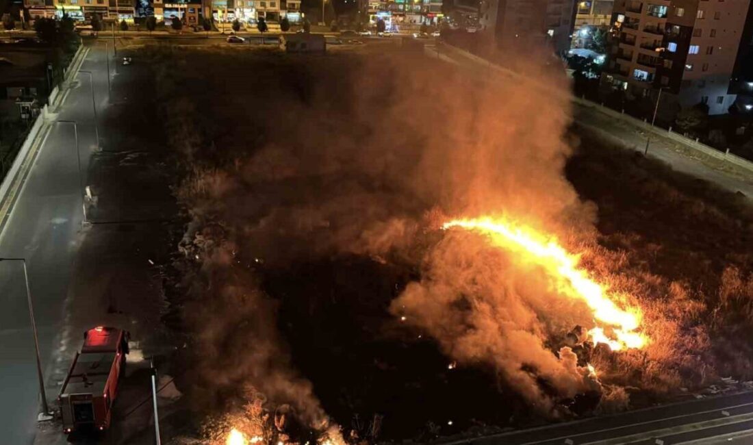 Diyarbakır’ın Kayapınar ilçesinde akşam saatlerinde meydana gelen anız yangını, çevrede