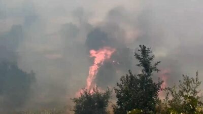 Lice ilçesinde meydana gelen orman ve örtü yangınında geniş bir