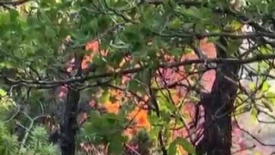 Dicle ilçesine bağlı Başköy Mahallesi ile Hani ilçesine bağlı Kuyular