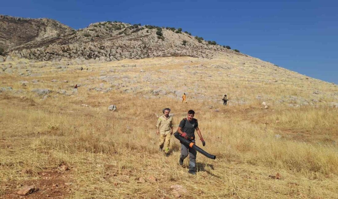 Diyarbakır’ın Silvan ilçesinde, yaklaşık 400 dönümlük alanı kül eden örtü