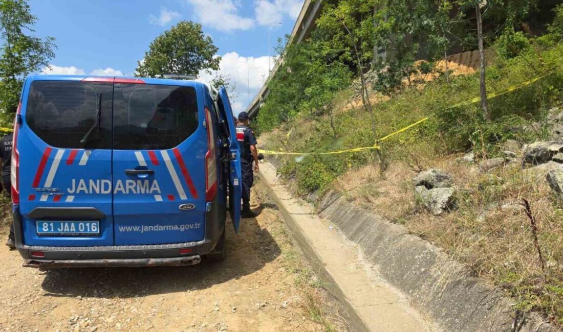Düzce ilinde faaliyet gösteren özel bir hastanede Ortopedi ve Travmatoloji