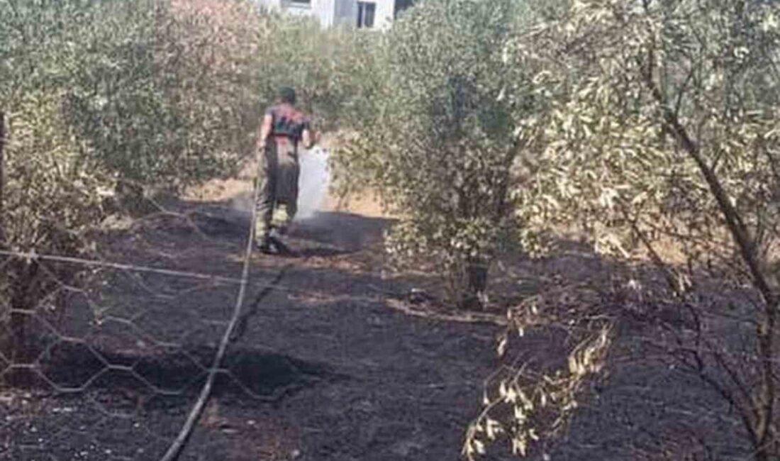 Dörtyol ilçesine bağlı Kuzuculu Mahallesi’nde bir bahçede çıkan yangın, çevreye