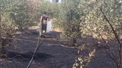 Dörtyol ilçesine bağlı Kuzuculu Mahallesi’nde bir bahçede çıkan yangın, çevreye