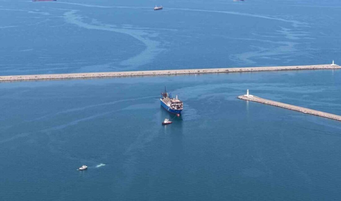 Rusya’nın Novorossiysk Limanı açıklarında yaşanan dron saldırısında etkilenen ve içinde