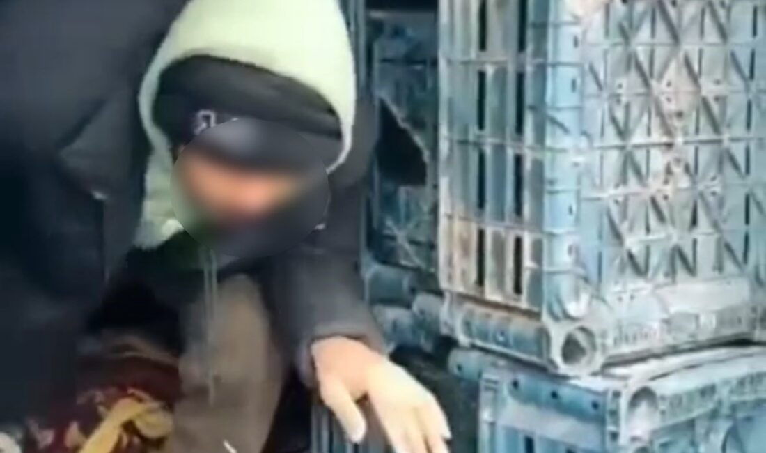 Düzce’de, yurda yasa dışı şekilde giriş yaptıkları belirlenen 7 kaçak